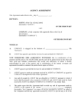 Picture of USA Agency Agreement - domestic